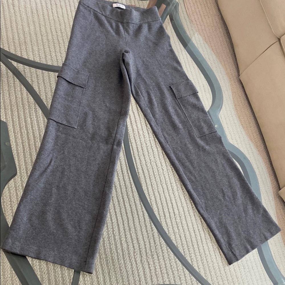 Atlantis Aritzia cargo pants xs